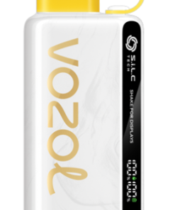 Vozol E Zigarette - VOZOL STAR 9000/12000 Ananas-Kokos-Eis 6D2R46