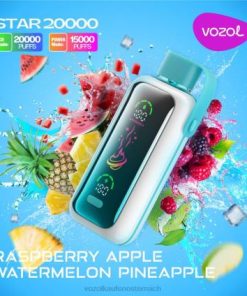 Vozol E-Zigarette Österreich - VOZOL STAR 20000 Himbeere, Apfel, Wassermelone, Ananas 6D2R413