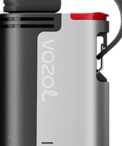 Vozol Kaufen Österreich - VOZOL GEAR 4000c/6000 blaues Razz-Eis 6D2R322